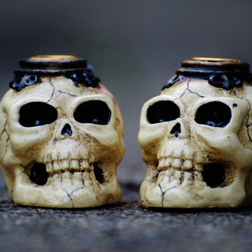 İnsan vücudunun iç organlarını gösteren detaylı bir anatomi şeması