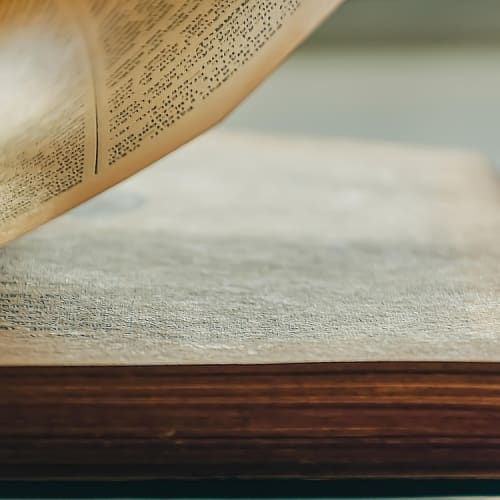 Kitap ve film şeritleri ile kitaplardan filme uyarlamaların karşılaştırmasını gösteren görsel.