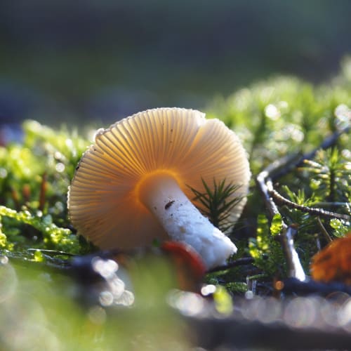 Çözülemeyen gizemli olayların temsili bir görseli