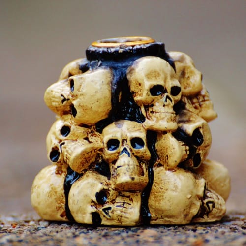 İnsan iskelet sistemi ve kaslarının genel bir görünümü, anatomiyi anlamak için görsel bir referans sağlar.