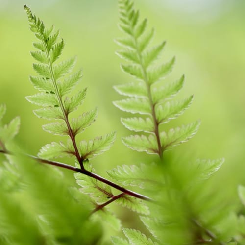 Günlük hayatta işleri kolaylaştıran çeşitli pratik ipuçlarını gösteren bir görsel.