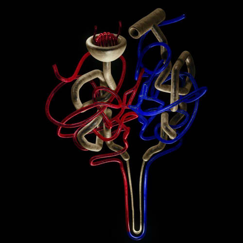 İnsan iskelet sistemi ve organlarının şematik gösterimi, insan anatomisinin karmaşıklığını ve güzelliğini vurgulamaktadır.