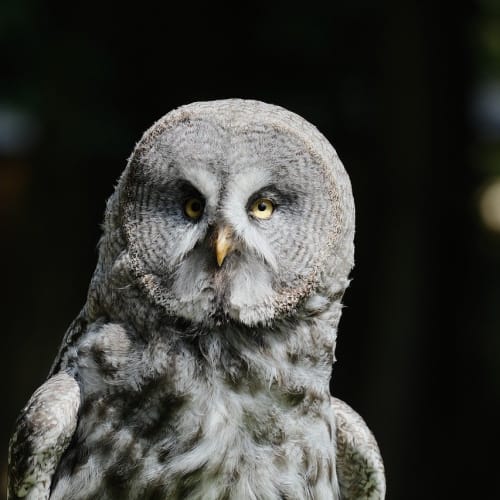 Gökyüzünde tanımlanamayan bir cisim görseli, UFO gözlemlerinin raporlanmasının önemini vurgulamaktadır.