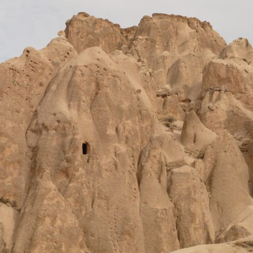 Afrika ormanlarında yaşayan Okapi, zebra benzeri çizgili bacaklara sahip, zürafa akrabası bir hayvandır.