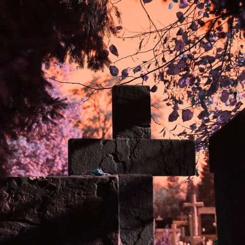 Sisli bir ormanda hayaletimsi bir figür, ölümden sonra yaşamın gizemini temsil ediyor.