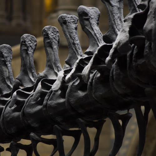 Ankara Anadolu Medeniyetleri Müzesi'nde sergilenen Hitit Güneş Diskleri, Hitit İmparatorluğu'nun sembolü olarak dikkat çekiyor.