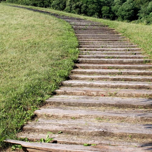 Yaşlanma sürecini gösteren bir görsel, hücre yenilenmesinin önemini vurguluyor.