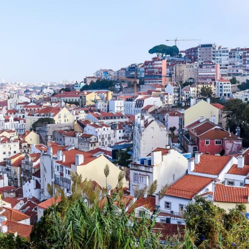 Evrenin geniş bir görüntüsü, galaksiler ve yıldızlarla dolu, doğa bilimlerinin merak uyandıran konularını temsil ediyor.