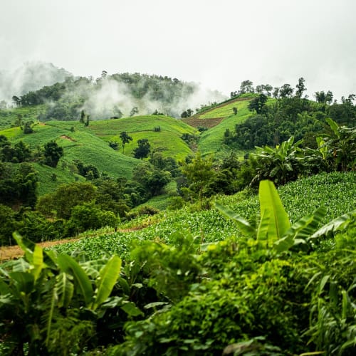 Kuzey ışıkları (Aurora Borealis) gökyüzünde dans ederken çekilmiş büyüleyici bir fotoğraf.