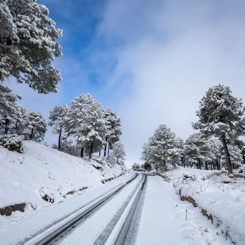 Beyin ve evrenin gizemli birleşimi, ESP ve telepati gibi psi yeteneklerinin potansiyelini temsil ediyor.
