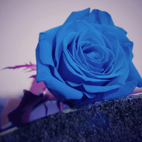 Evrende yaşamın kökenlerine dair bilimsel araştırmaları gösteren bir görsel.