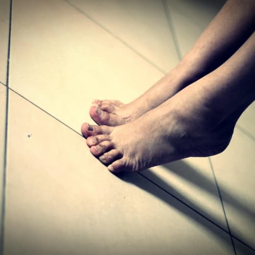 İnsan vücudunun iç organlarını gösteren detaylı bir anatomi görseli