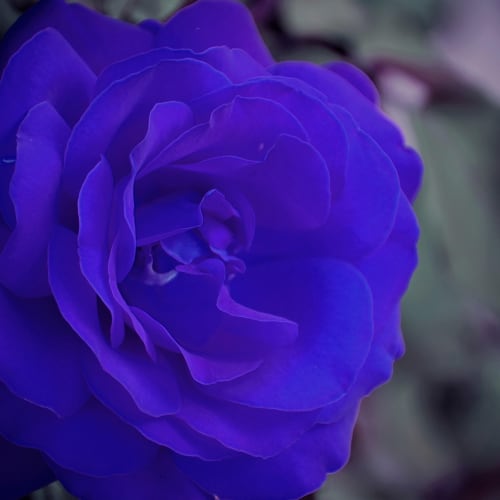 Dünya'nın erken dönemlerine ait bir görselleştirme, hidrotermal bacaların ve ilk canlı hücrelerin oluşumunu gösteriyor.