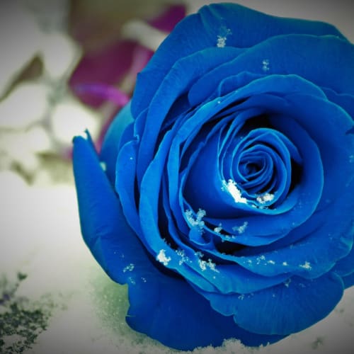 Dünya'nın erken dönem atmosferini ve okyanuslarını gösteren bir illüstrasyon, kimyasal evrim ve yaşamın kökenleri hakkında bilgi vermektedir.