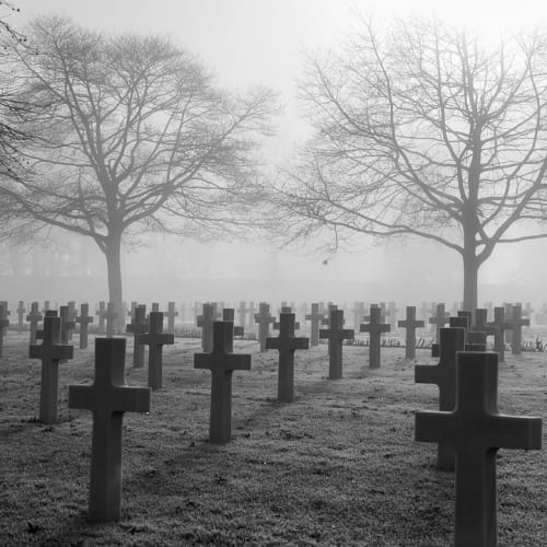 Beyin ve hafıza kavramını temsil eden bir görsel. Beyin hücreleri ve sinaptik bağlantılar vurgulanmış.