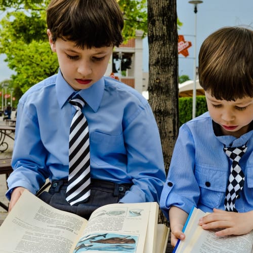 Çeşitli yaş gruplarına uygun bilim kitapları koleksiyonu, çocukların bilimsel merakını uyandırmak için ideal.