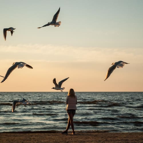 Guatemala'daki Maya şehri El Mirador'un LiDAR teknolojisiyle elde edilen görüntüsü, ormanın altında gizlenmiş tapınakları ve yapıları gösteriyor.