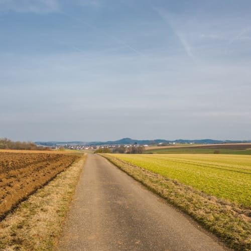 Türkiye'nin Fethiye ilçesindeki Kabak Koyu'nun doğal güzelliğini gösteren bir fotoğraf.