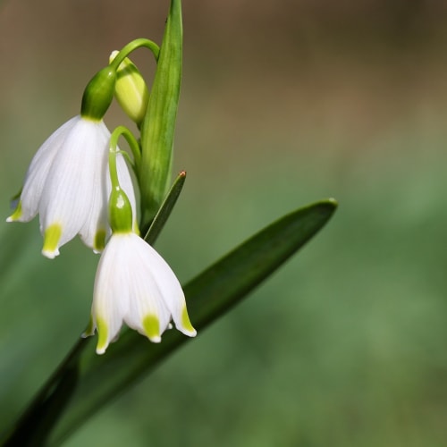 Musallat belirtileri ve cin varlığı hakkında bilgilendirici bir blog yazısı