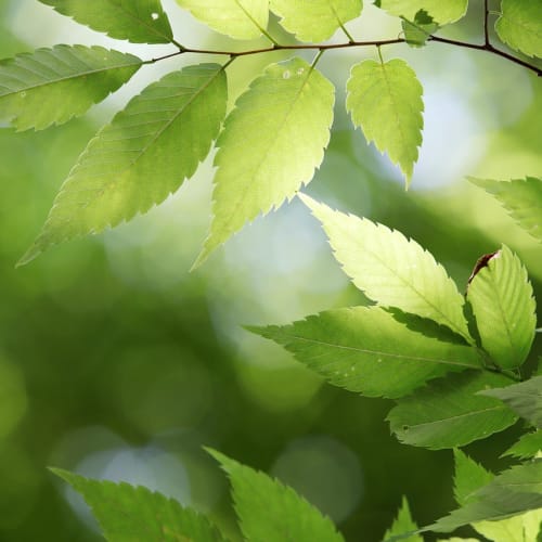 Gizli belgeler ve askeri tesislerin bulunduğu bir kompozisyon, devlet sırları ve gizli projelerin gizemini yansıtmaktadır.