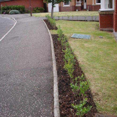 İslam'da cinlerden korunma için Ayetel Kürsi, Felak ve Nas surelerinin yazılı olduğu güzel bir tasarım.