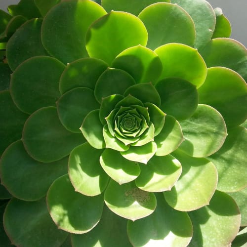 Evrenin genişlemesini ve galaksilerin oluşumunu gösteren bir görsel.