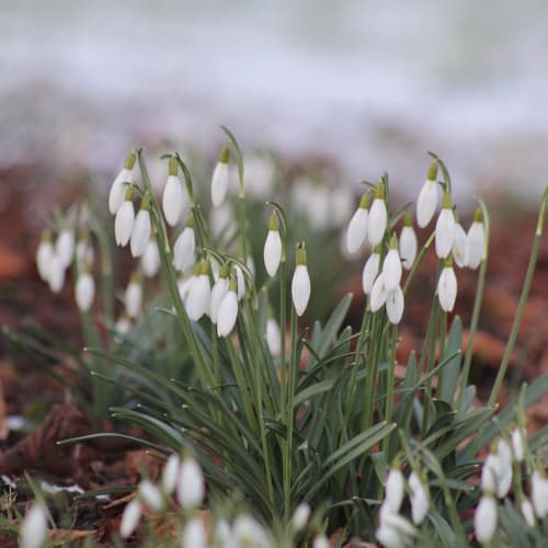 Musallat belirtileri ve korunma yolları hakkında bilgilendirici bir blog yazısı