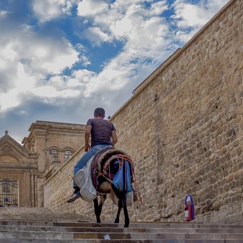 Antik Maya şehrinin kalıntıları, medeniyetlerin yıkılışındaki gizemleri ve karmaşıklığı temsil ediyor.