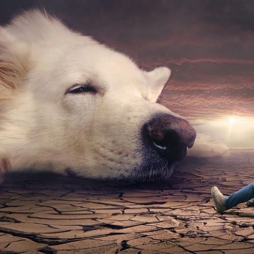 Karanlık bir odada yatan ve rüyasında paranormal bir olay yaşayan bir kadın görseli