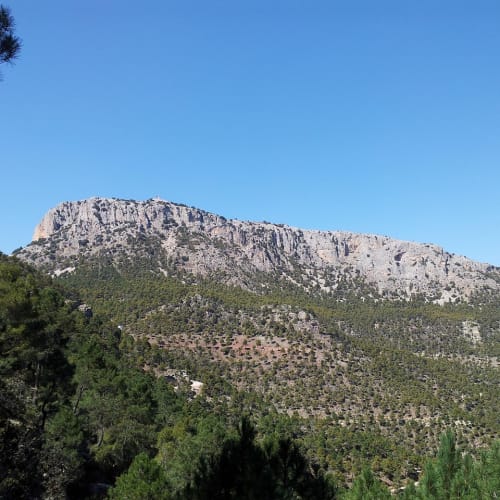 ESP (Algı Dışı Algılama) kavramını temsil eden, beyin ve evrenin birleşimini gösteren soyut bir görsel.