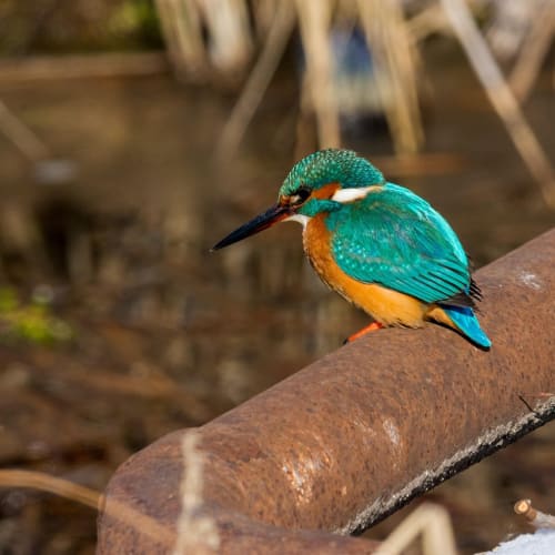 Evrenin büyüleyici bir görüntüsü, sonsuzluğun ve bilinmeyenin sembolü.