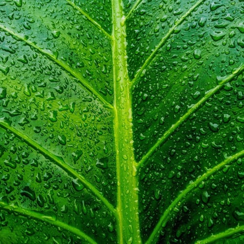 Evrenin büyüklüğünü ve karmaşıklığını gösteren bir galaksi fotoğrafı