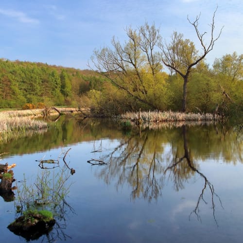 Bilimsel keşiflerin ve bilim insanlarının temsili bir görsel
