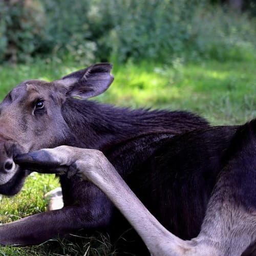 Evrenin büyüleyici bir görüntüsü, sonsuzluğun ve bilinmeyenin sembolü.