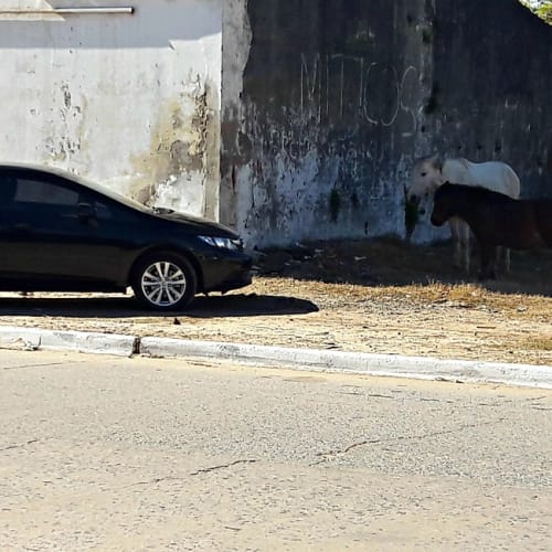 Bilimsel keşiflerin ve bilim insanlarının temsili bir görsel