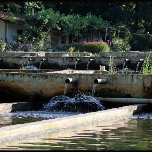 Pamukkale'de yer alan Hierapolis antik kentinin beyaz travertenler ve antik kalıntılarla dolu genel görünümü.