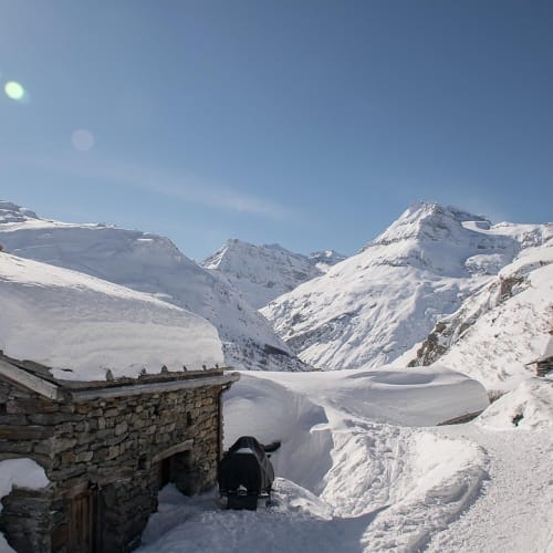 Türkiye'deki Afrodisias antik kentinin genel görünümü, tarihi tiyatrosu ve mermer sütunları.
