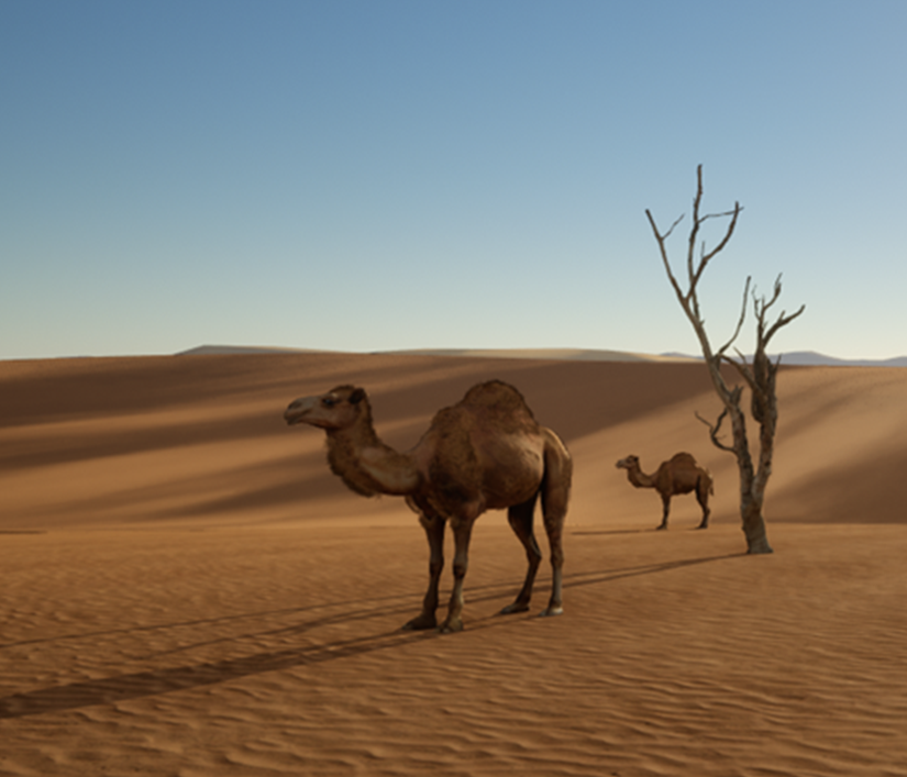 Animated Camel with Fur
