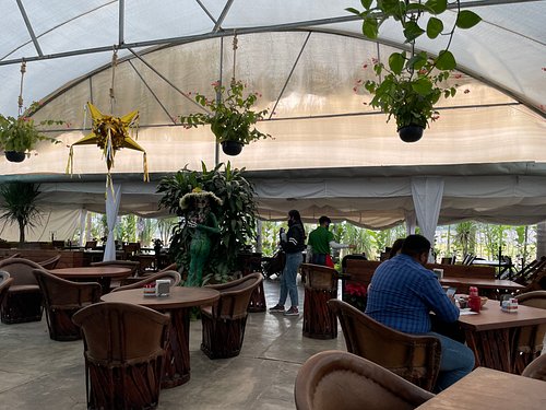 Foto de Vivero Rodríguez Restaurante