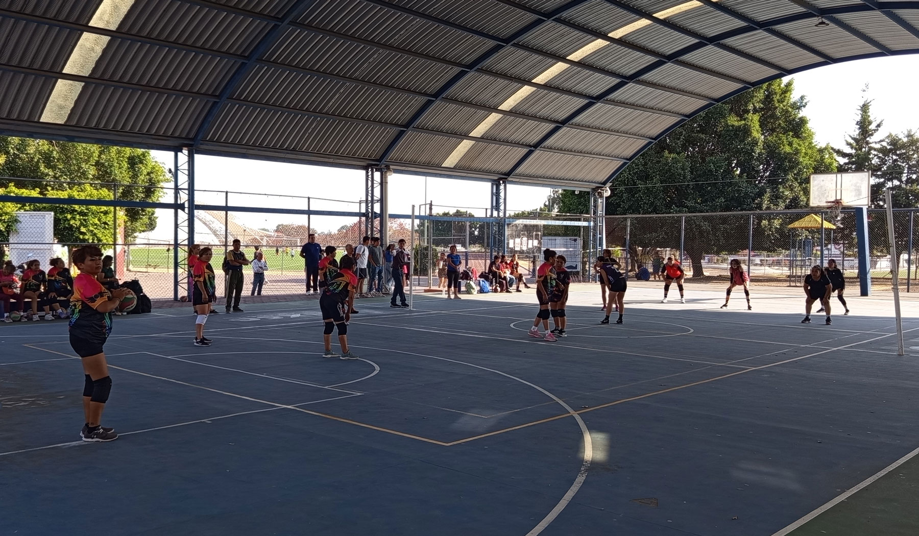 Liga de Voleibol Club Pumas — foto 1