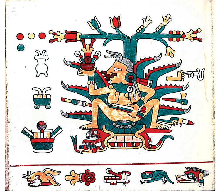 Mayahuel (3) — foto 2