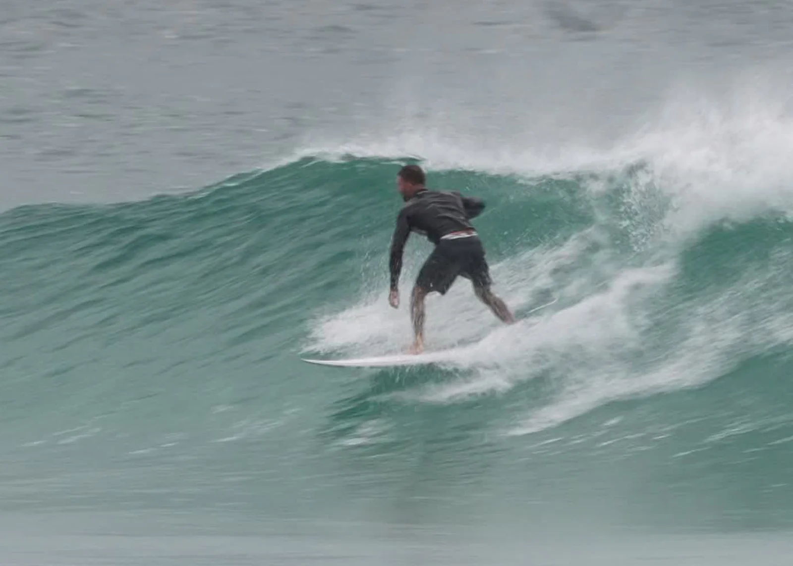 Palm Beach 11-09-25