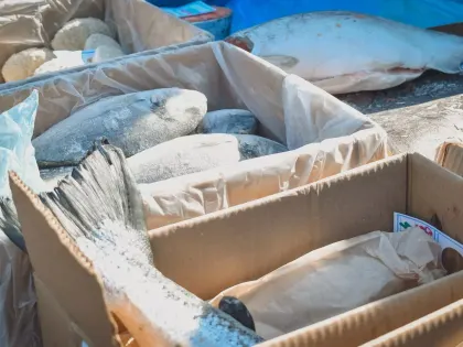 Назван продукт, который кишит паразитами в Нижегородской области