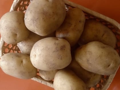 Как правильно готовить картошку: советы нутрициолога