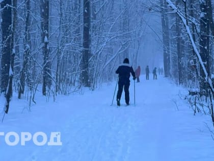 Морозы на смену снегопаду: в Нижегородской области к воскресенью резко упадет температура