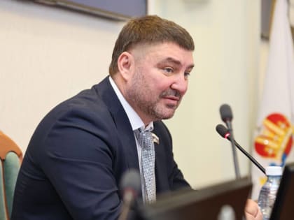 Депутат Владислав Атмахов: 