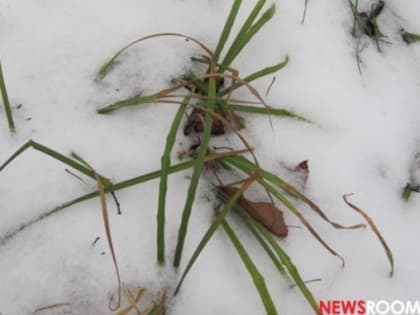 Нижегородцам обещают облачную погоду со снегом на 8 марта