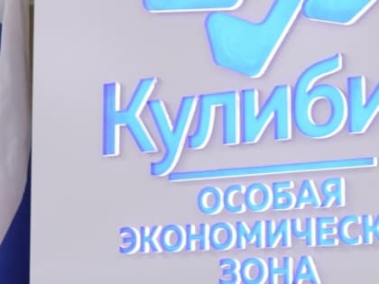 Более 50% площади ОЭЗ «Кулибин» в Дзержинске заняли инвесторы
