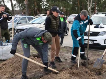 41 саженец рябины и сирени высадили в Дзержинске