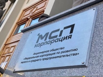 Поддержка малого бизнеса в регионе
